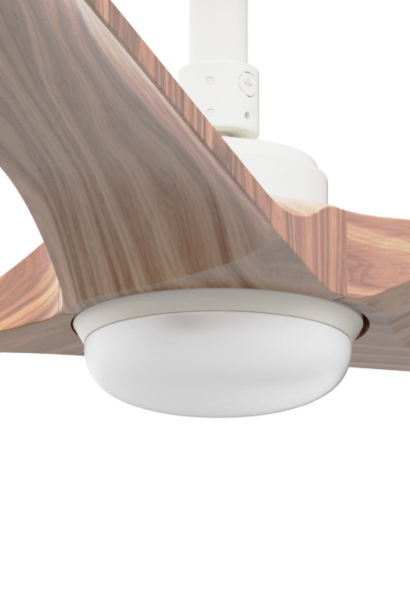 Kit de luz LED blanco CCT dimmable para ventilador de techo HEY/HEYWOOD FARO 3L001, accesorio de iluminación interior moderno en blanco mate