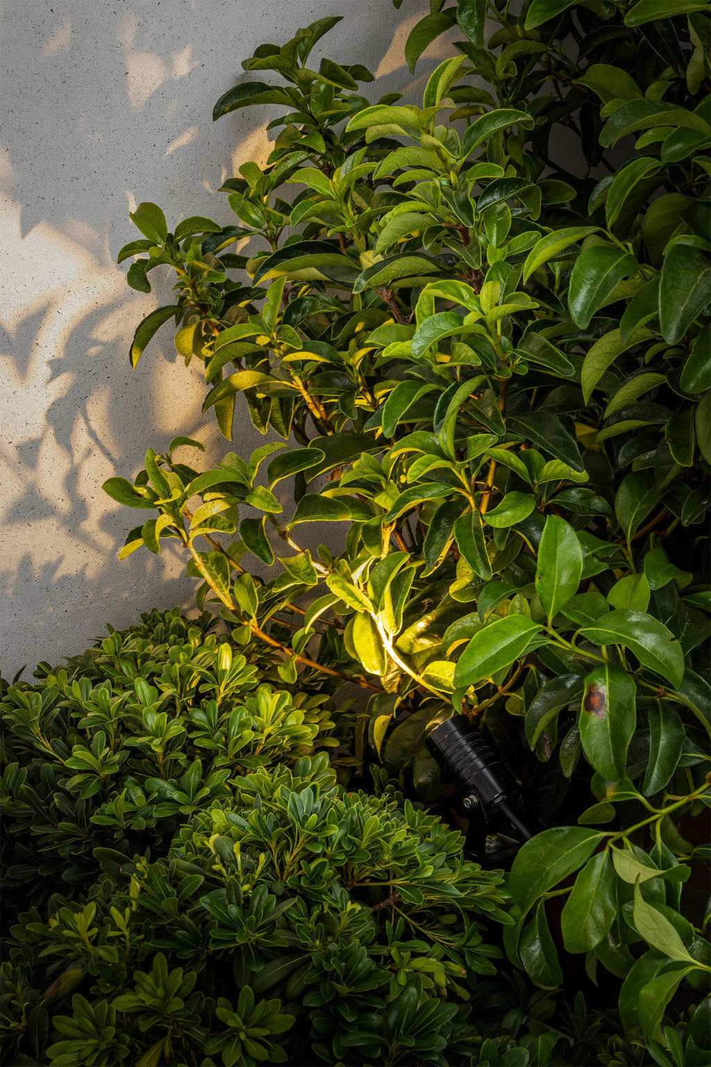 Proyector LED Balder negro con estaca, faro exterior IP67 de aluminio serie 70469 en jardín iluminado