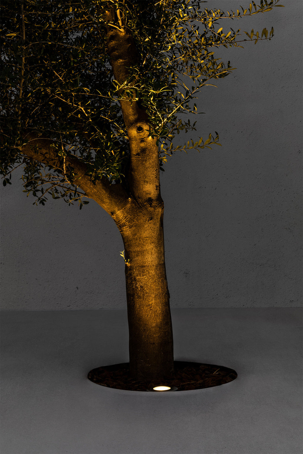 Luminaria empotrable LED SURIA 120 Inox 24° FARO 70588 instalada en jardín exterior, iluminación terrazas acero inoxidable IP67 IK08