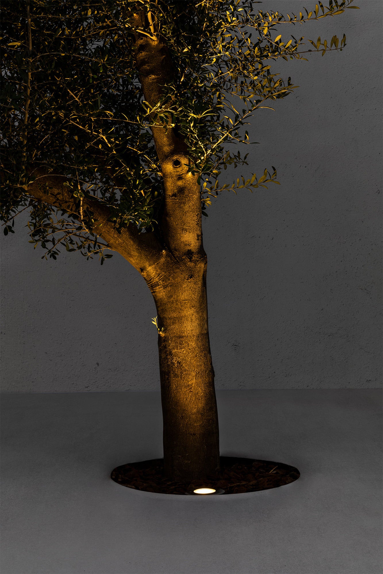 Luminaria empotrable LED SURIA 120 Inox 24° FARO 70588 instalada en jardín exterior, iluminación terrazas acero inoxidable IP67 IK08