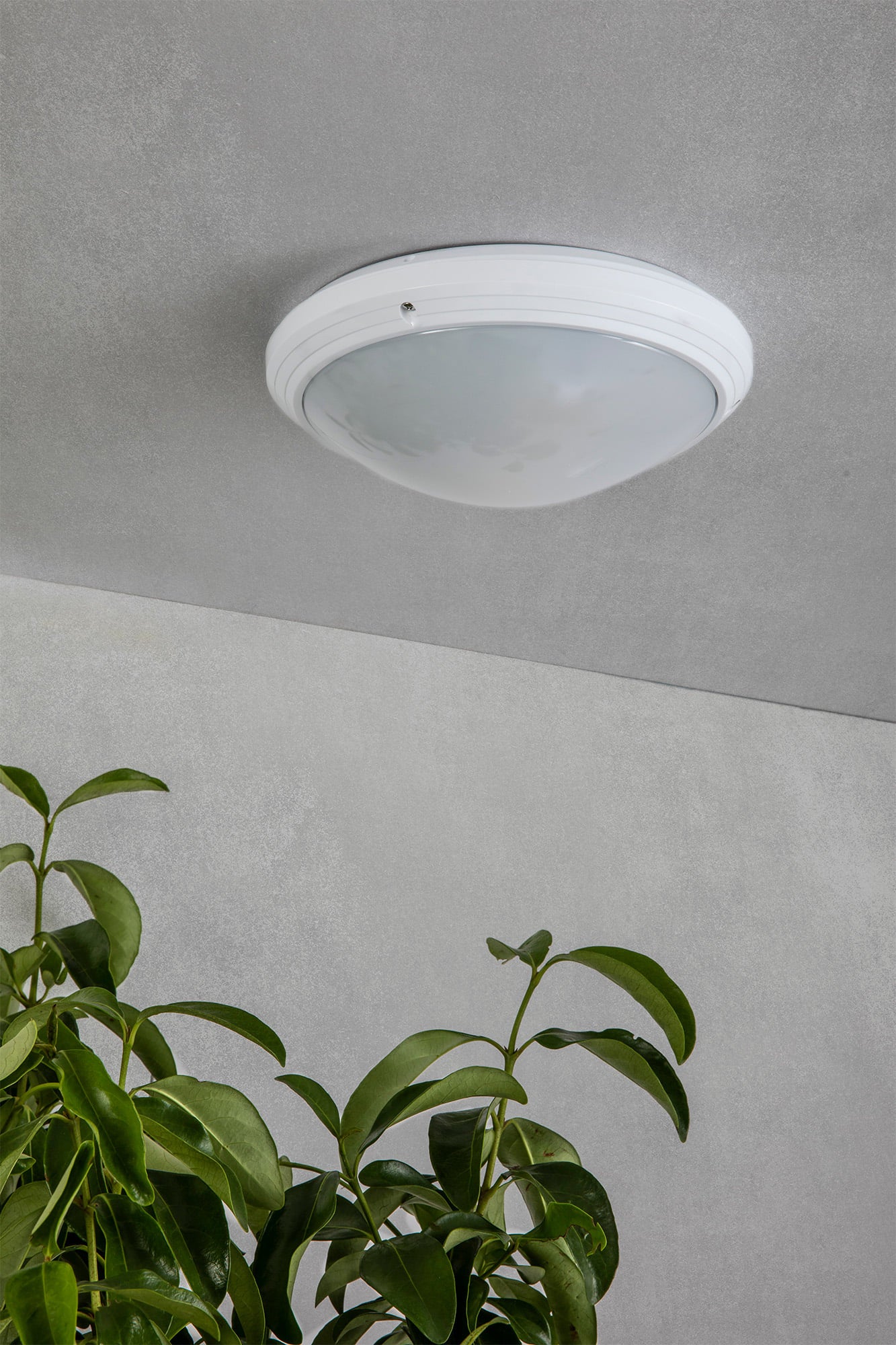 Plafon exterior DAKRON blanco modelo FARO 70722 en ambiente de jardín, lámpara de pared IP65 en ABS y policarbonato para iluminación exterior