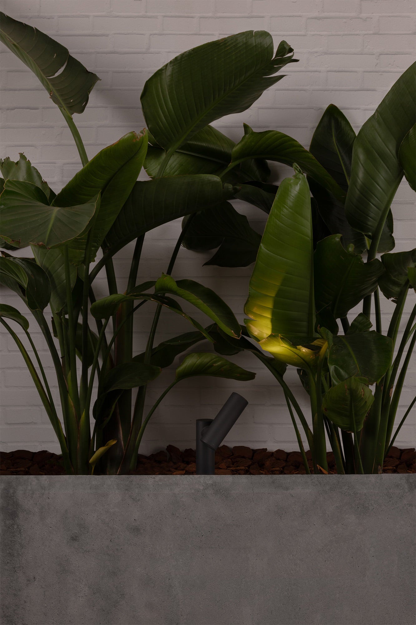 Luminaria estaca LED SPY 145 gris oscuro en jardín exterior, faro de aluminio serie 7023 IP65 resistente al agua, iluminación LED para exteriores modelo 70787