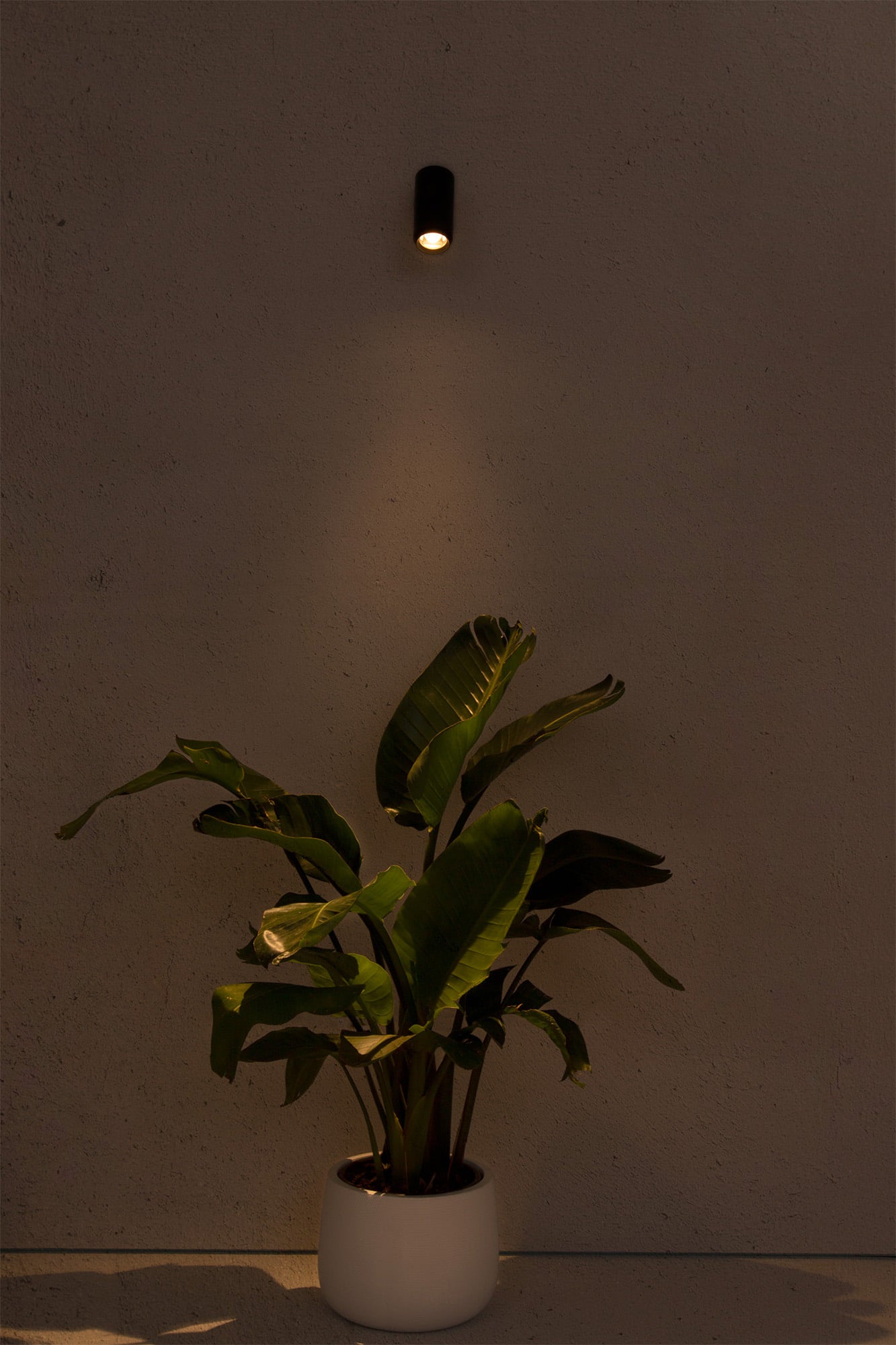 Lámpara proyector LED PLOM gris oscuro FARO 70912 en ambiente exterior, iluminando jardín y terraza con diseño de aluminio IP64 y luz focalizada LED