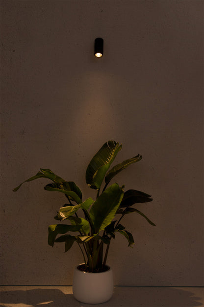 Lámpara proyector LED PLOM gris oscuro FARO 70912 en ambiente exterior, iluminando jardín y terraza con diseño de aluminio IP64 y luz focalizada LED