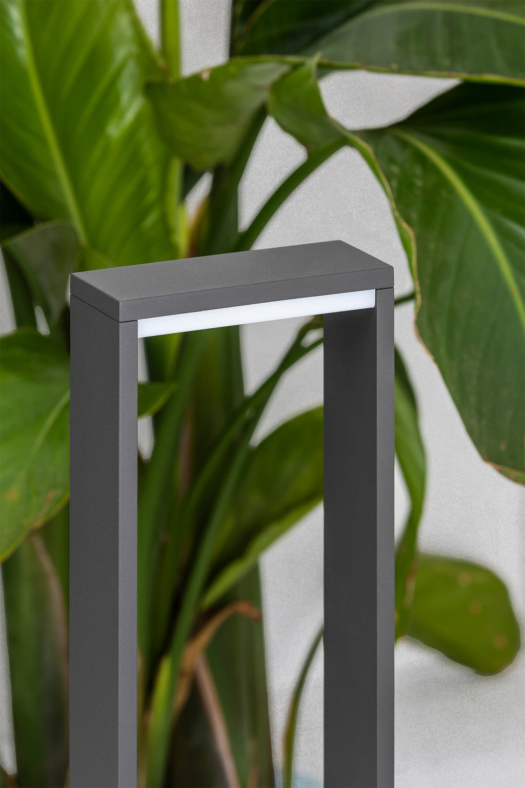 Baliza LED exterior ALP 500 gris oscuro faro 74451 en ambiente de jardín, luminaria de aluminio IP54 superficie con iluminación LED 3000K decorativa para exteriores