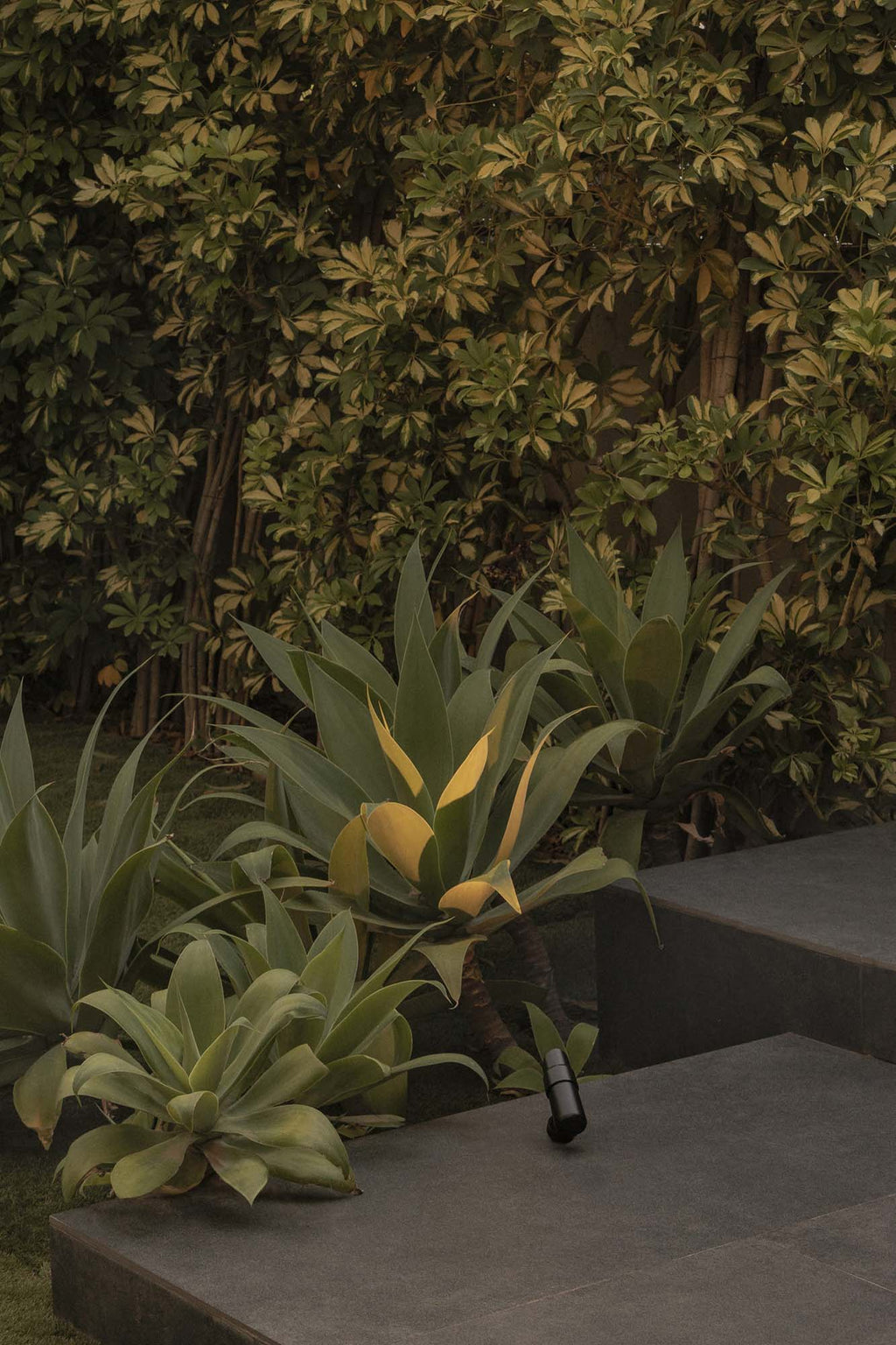 Proyector LED Exterior PUK 36 Negro 8° 3000K FARO en ambiente de jardín, iluminación cálida IP65 para terraza y luminaria superficie LED COB