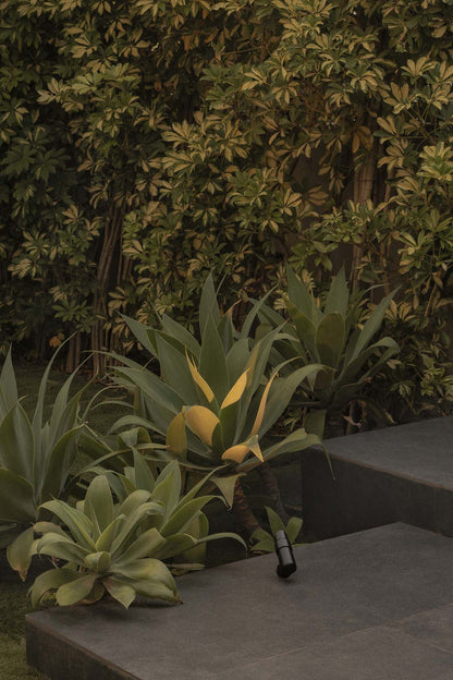 Proyector LED Exterior PUK 36 Negro 8° 3000K FARO en ambiente de jardín, iluminación cálida IP65 para terraza y luminaria superficie LED COB