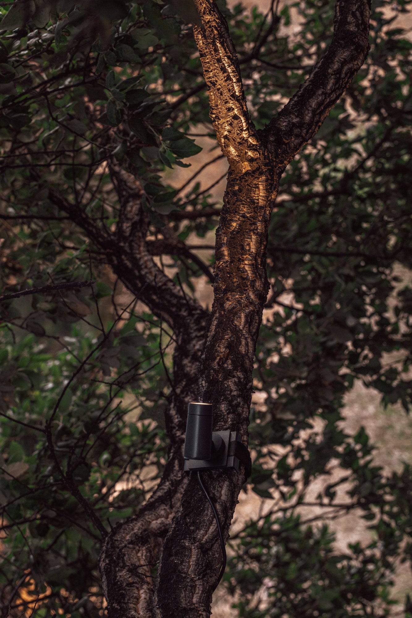 Accesorio fijación árbol PUK 36/59 negro de aluminio FARO 75300F en jardín exterior, iluminación paisajista para proyector exterior