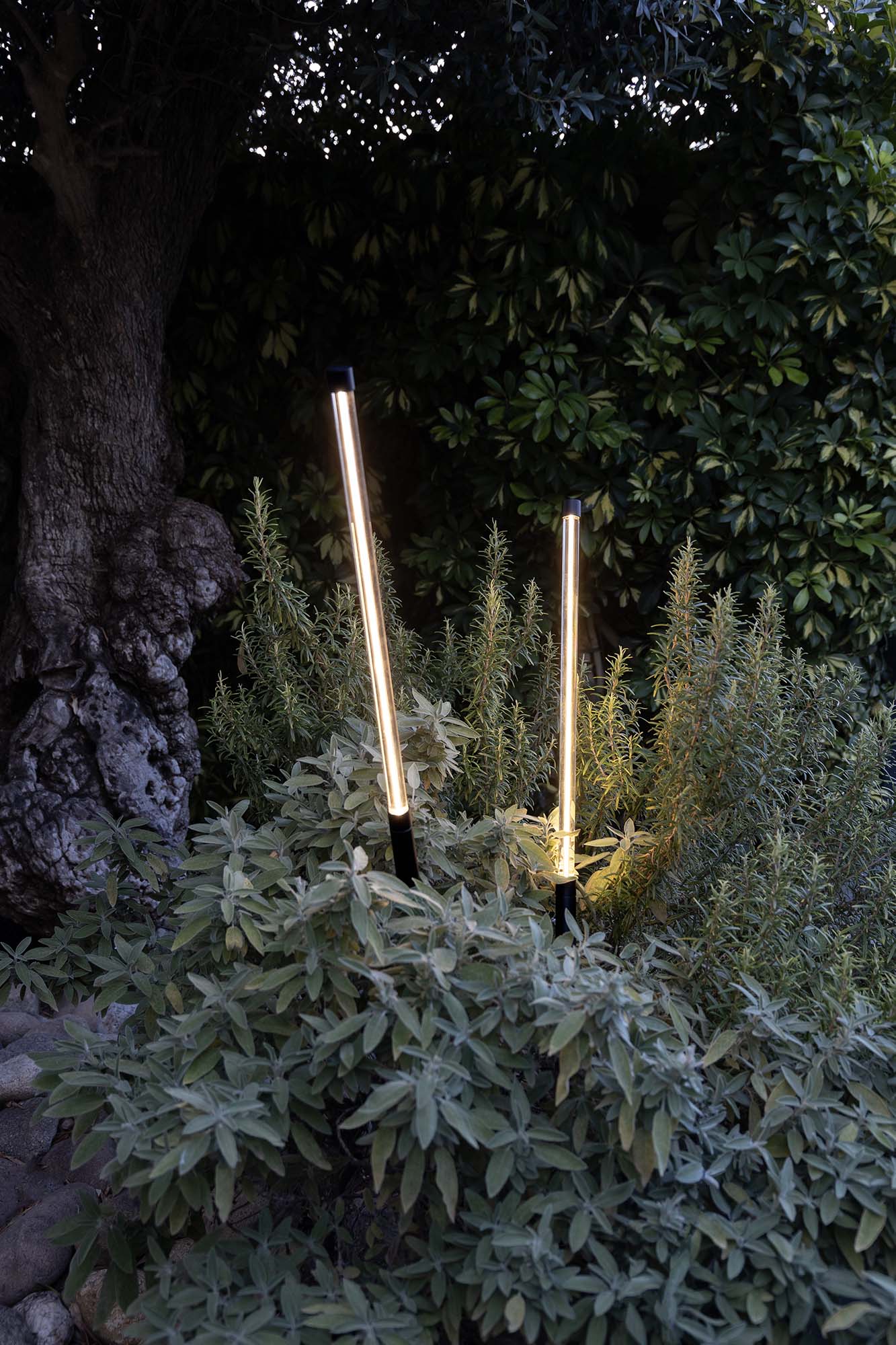 Estaca iluminación exterior BAMBOU 1068 negro mate FARO 75556 en jardín, luminaria superficie aluminio cristal LED para paisajismo