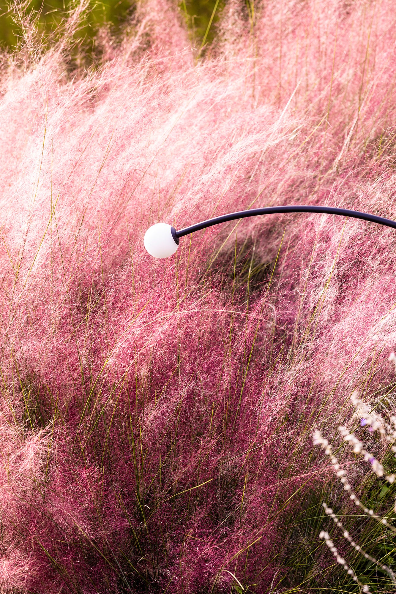 Baliza de exterior CUCA 1193 negra 24V en ambiente de jardín: faro minimalista de acero inoxidable con cristal opal, iluminación exterior IP65 resistente al agua, código 75559