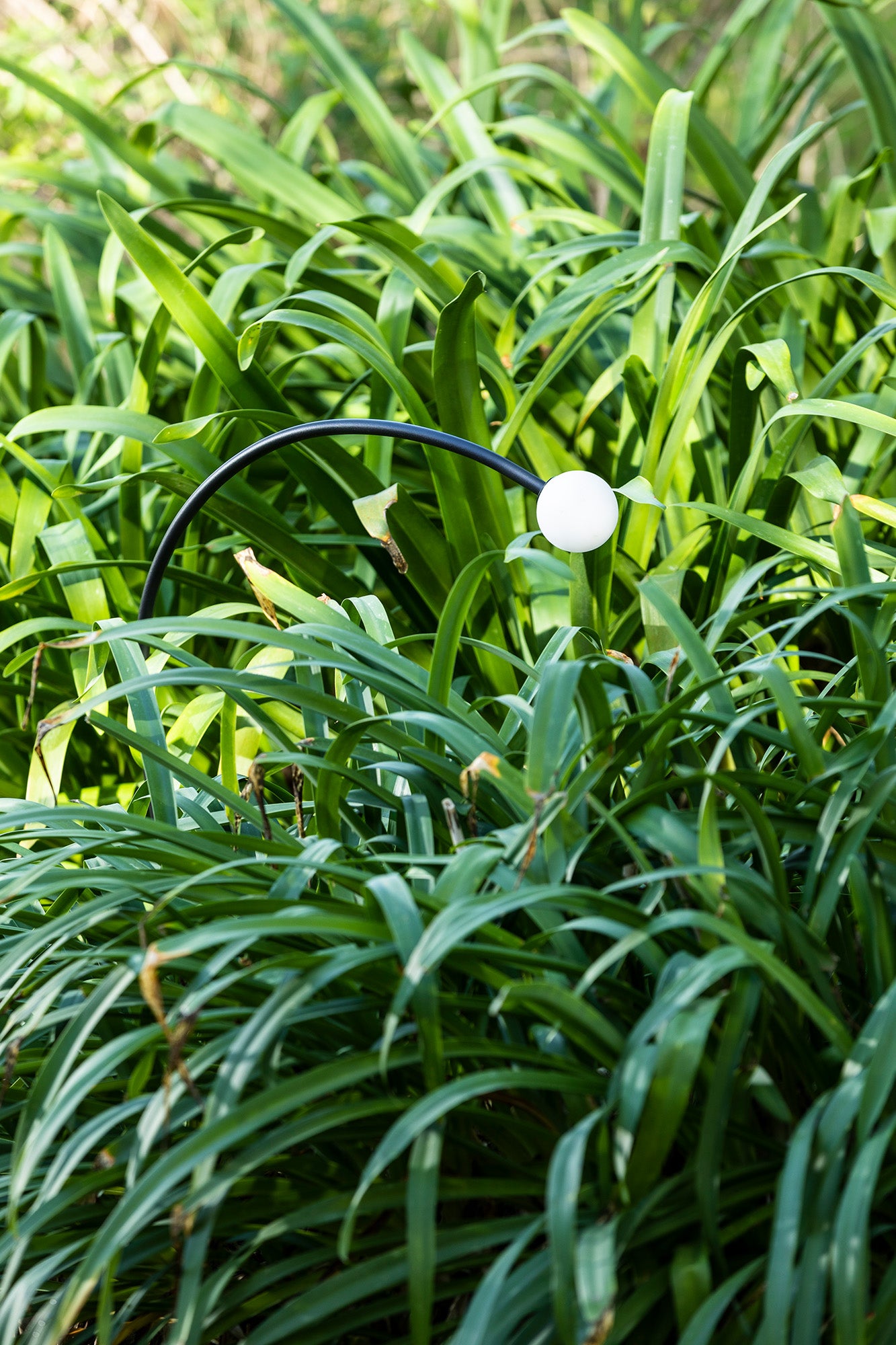 Luminaria estaca CUCA 650 negra 24V faro 75561 en ambiente de jardín exterior, diseño minimalista en acero inoxidable y cristal con protección IP65 para iluminación exterior.