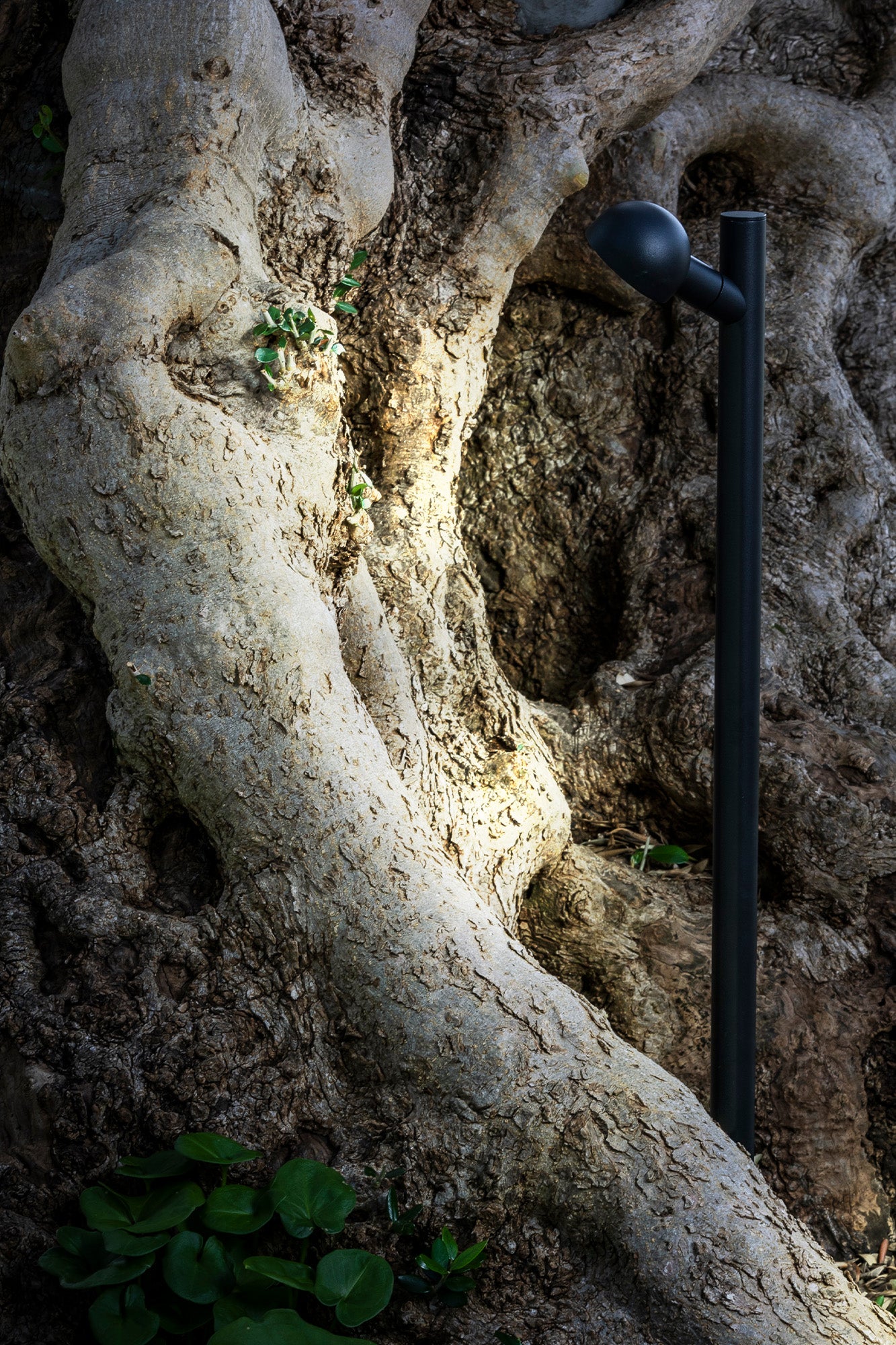 Estaca BROT 600 negra en aluminio, faro LED orientable 2700K IP65 para iluminación exterior en jardines y parques, modelo FARO 75571