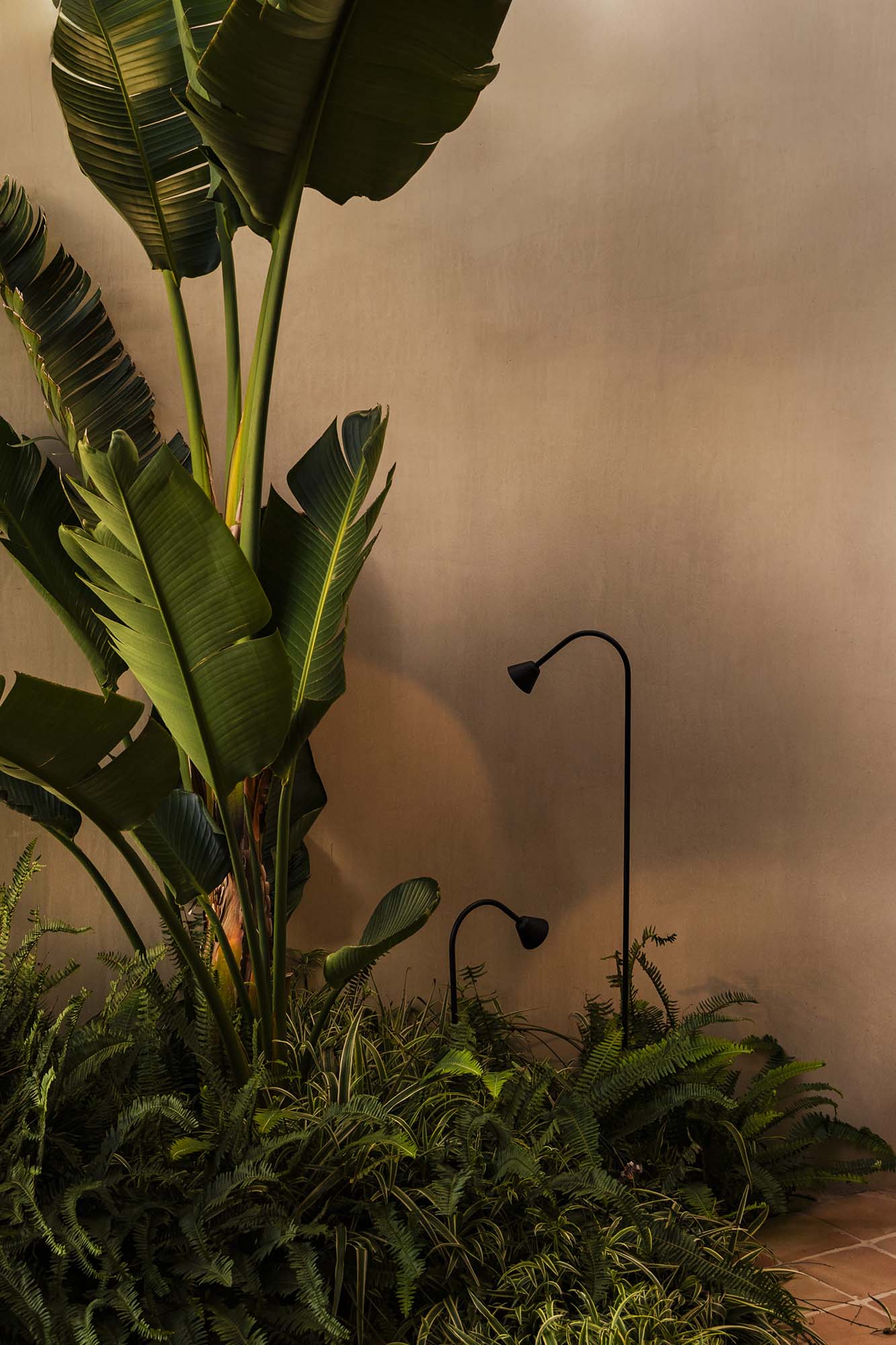 Estaca LED exterior LILY 300 negra 24V FARO 75620-1 en jardín iluminado, luminaria de acero inoxidable IP65 para patio y superficie exterior.