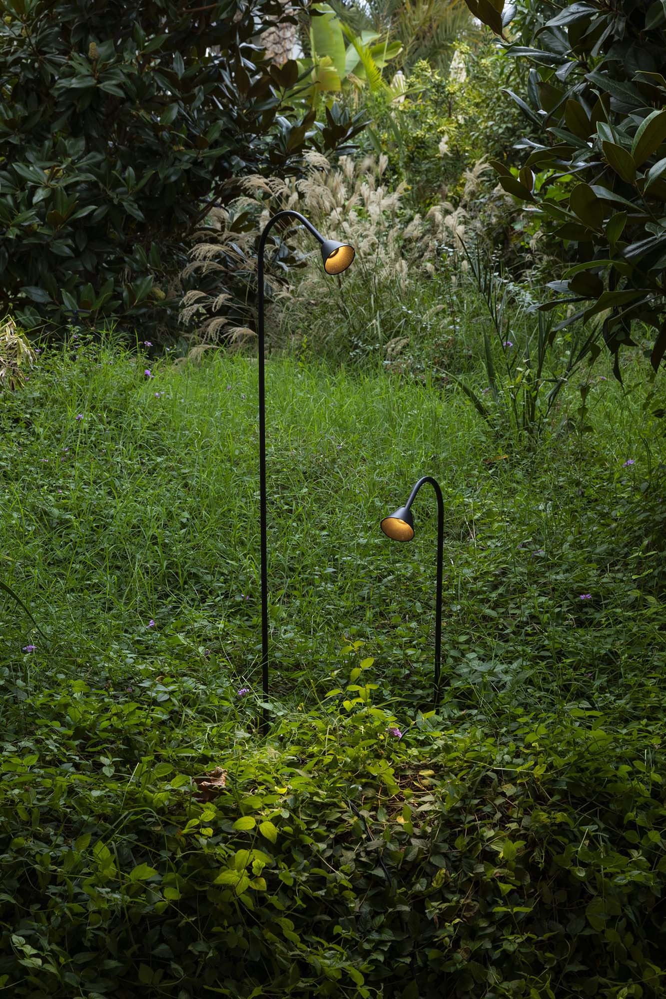 Baliza LED exterior LILY 650 estaca negra FARO serie 286 en jardín, iluminación COB IP65 acero inoxidable