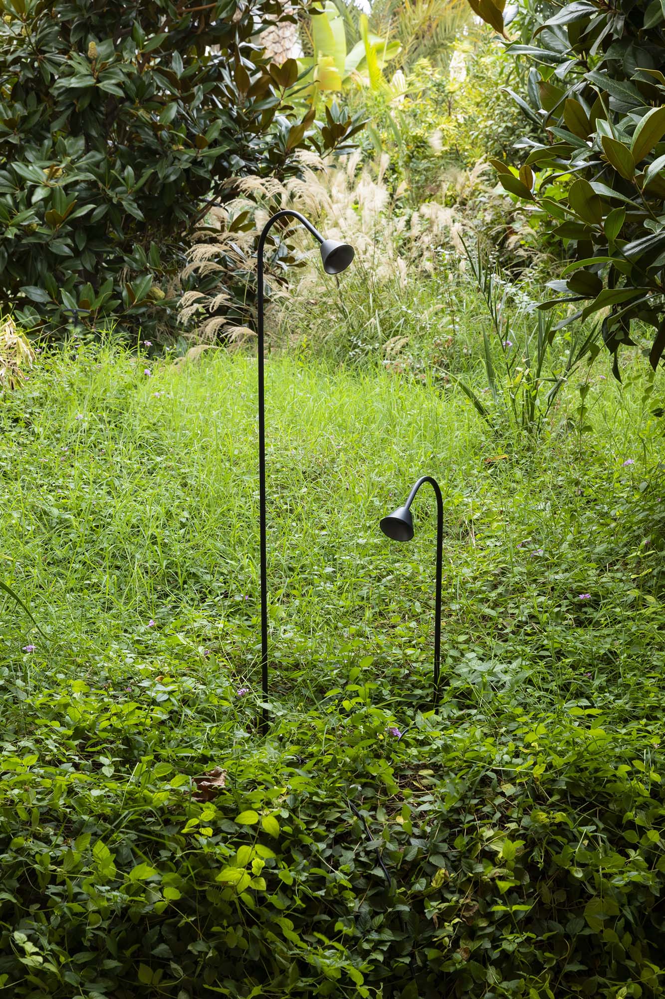 Estaca iluminación LED LILY 1190 negra 24V FARO 75622-1 en jardín exterior, acero inoxidable cristal IP65, paisaje iluminado colección 286