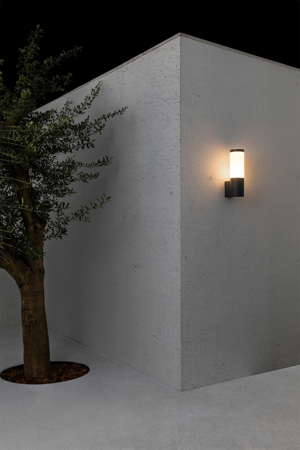 Aplique exterior ORWELL gris oscuro con cámara vigilancia integrada modelo FARO 75701, luminaria pared IP54 WiFi inteligente para jardín y terraza, seguridad hogar en aluminio y policarbonato