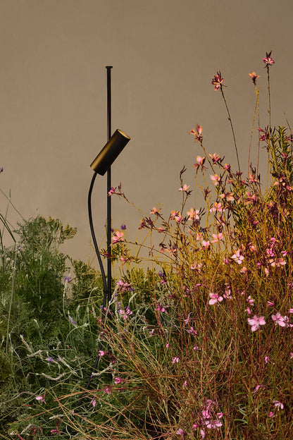 Proyector LED exterior CLAP negro 6W 2700K 38° FARO en ambiente de jardín, iluminación escenográfica con aluminio IP65 para luminaria superficie 75702-223