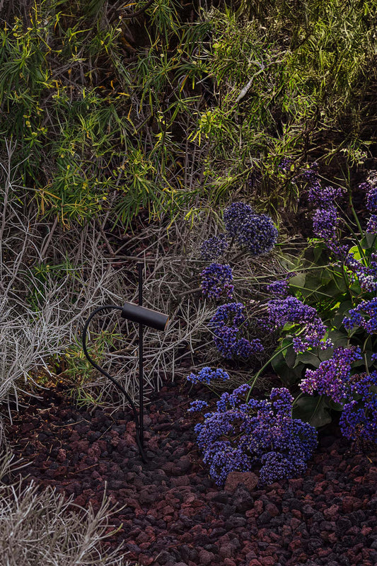 Proyector LED CLAP Negro 6W 3000K 24° FARO para exterior en imagen ambiente, luminaria de superficie en aluminio negro IP65 instalada en terraza iluminando jardín con luz cálida 75702-232