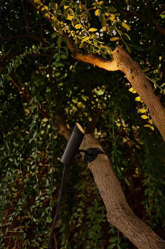 Proyector LED CLAP Árbol Negro 6W 3000K faro exterior IP65, luminaria de superficie en aluminio negro para jardín e iluminación de acento.