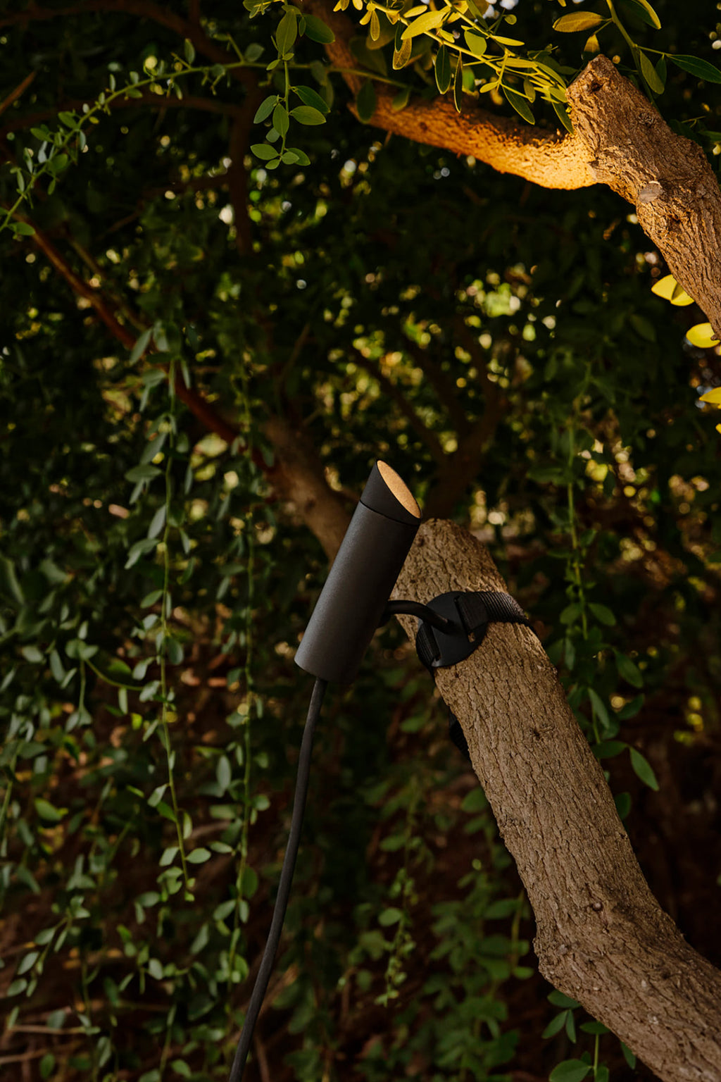 Proyector LED Árbol CLAP 630 Negro 6W FARO exterior en jardín, iluminación escenográfica IP65 3000K, luminaria superficie para fachadas y paisajismo urbano.