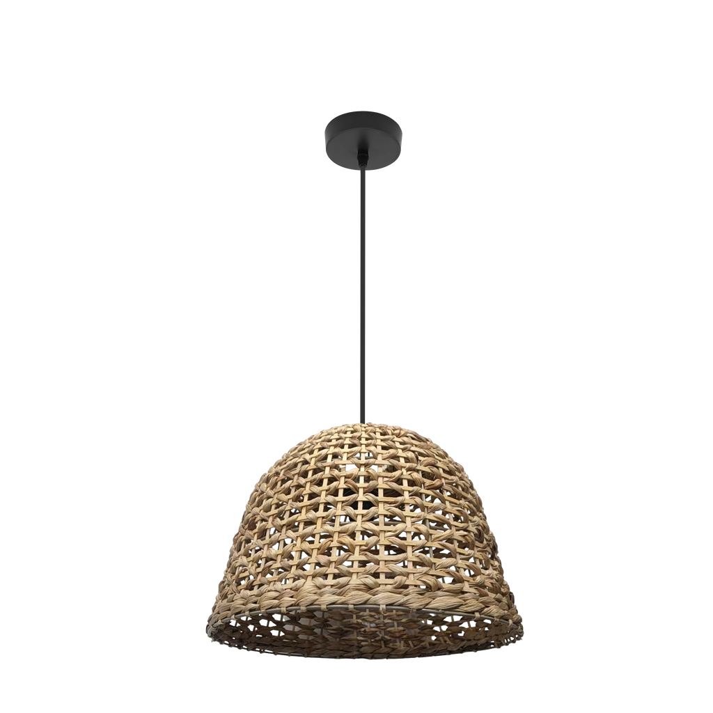 Colgante Darro negro natural Abrila 1xE27, lámpara de diseño con metal vegetal marino para iluminación interior decorativa, colgantes nature modelo 221294086