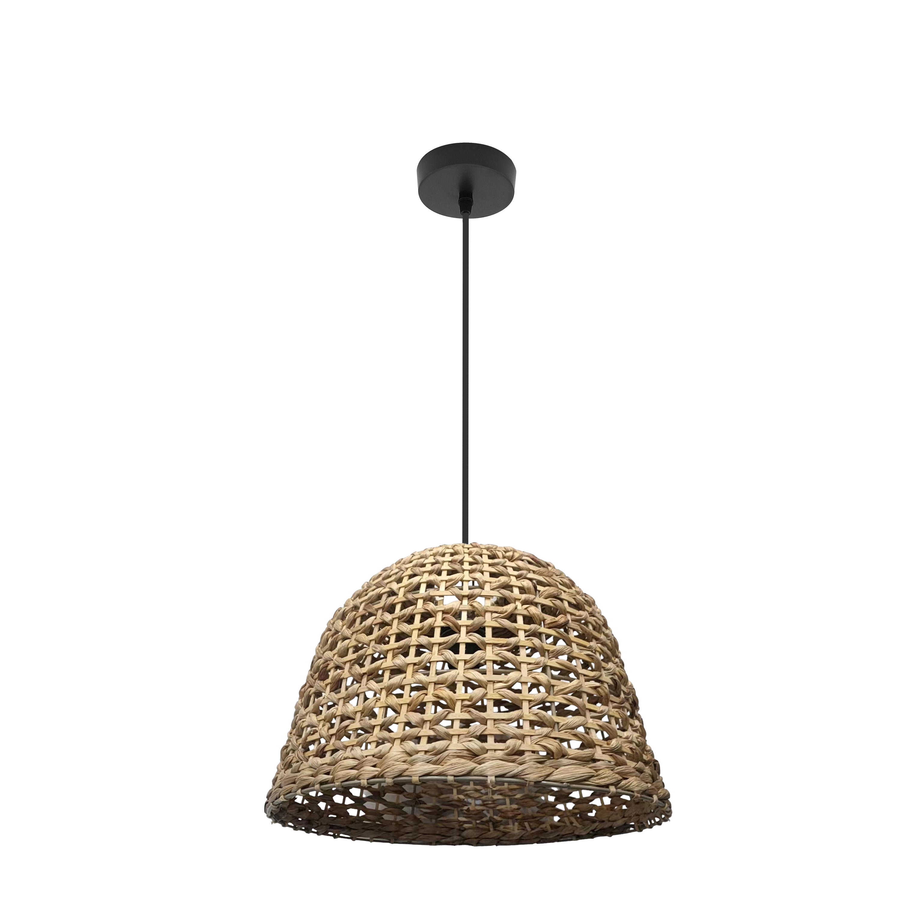 Colgante Darro negro natural Abrila 1xE27, lámpara de diseño con metal vegetal marino para iluminación interior decorativa, colgantes nature modelo 221294086