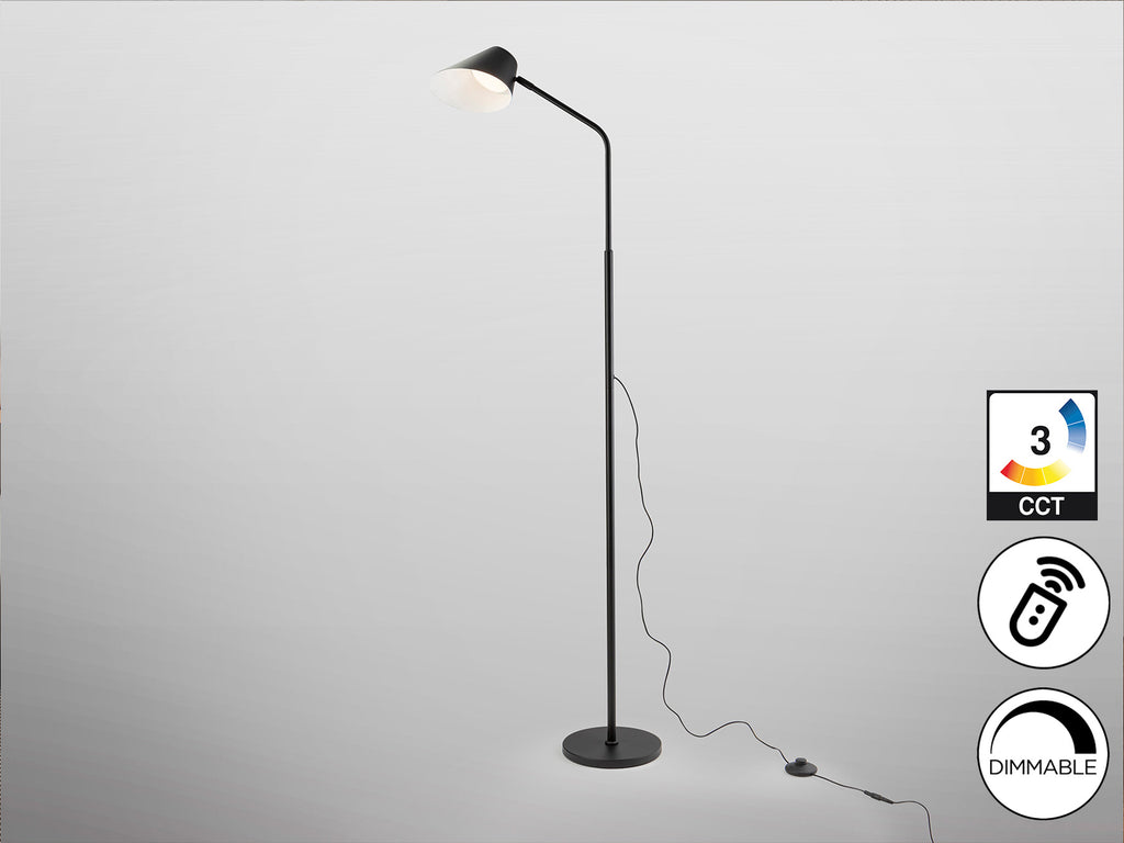 Lámpara de pie Esino negra mate con control remoto, LED regulable y diseño moderno de metal. Ideal para salón. Producto Schuller (215732).