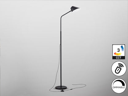 Lámpara de pie Esino negro mate con control remoto y LED regulable, ideal para salón. Diseño moderno en metal de Schuller (Modelo 215732).