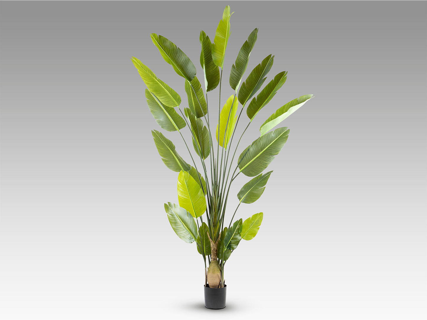 Planta Artificial Ave Paraíso H250 - Schuller - 281690 - Vista 6