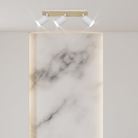 Foco Smit – vista 2 · Ref. 11920