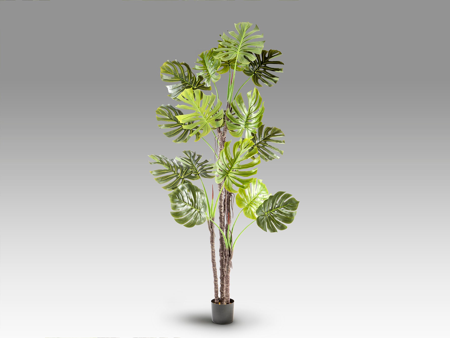 Planta Artificial Monstera H210 con Maceta - Schuller - 281003 - Vista 5