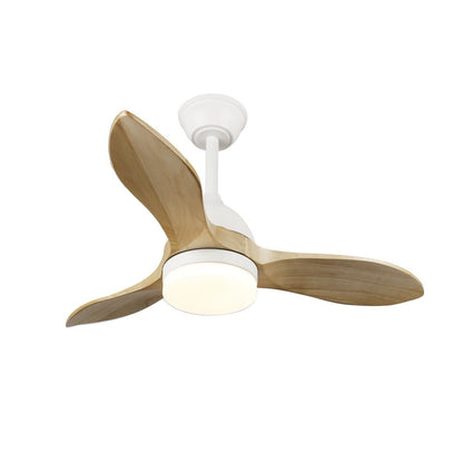 Ventilador de Techo LED Beta CristalRecord 85-090-36-106