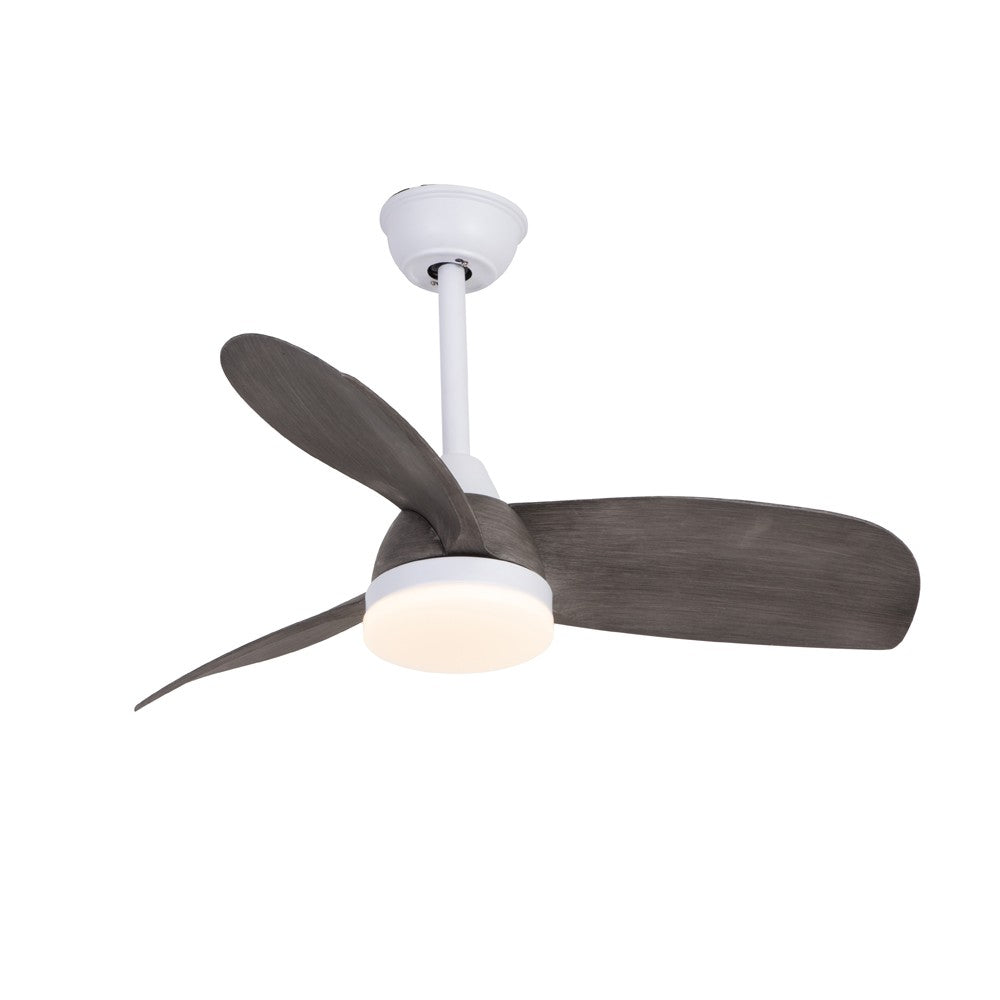 Ventilador de Techo con Luz Byan Exterior Blanco y Ceniza 22W CristalRecord - vista principal | CristalRecord