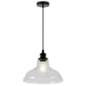 AJP / Alemar Colgante Umbra Negro Transparente 11642 - luzguru.com