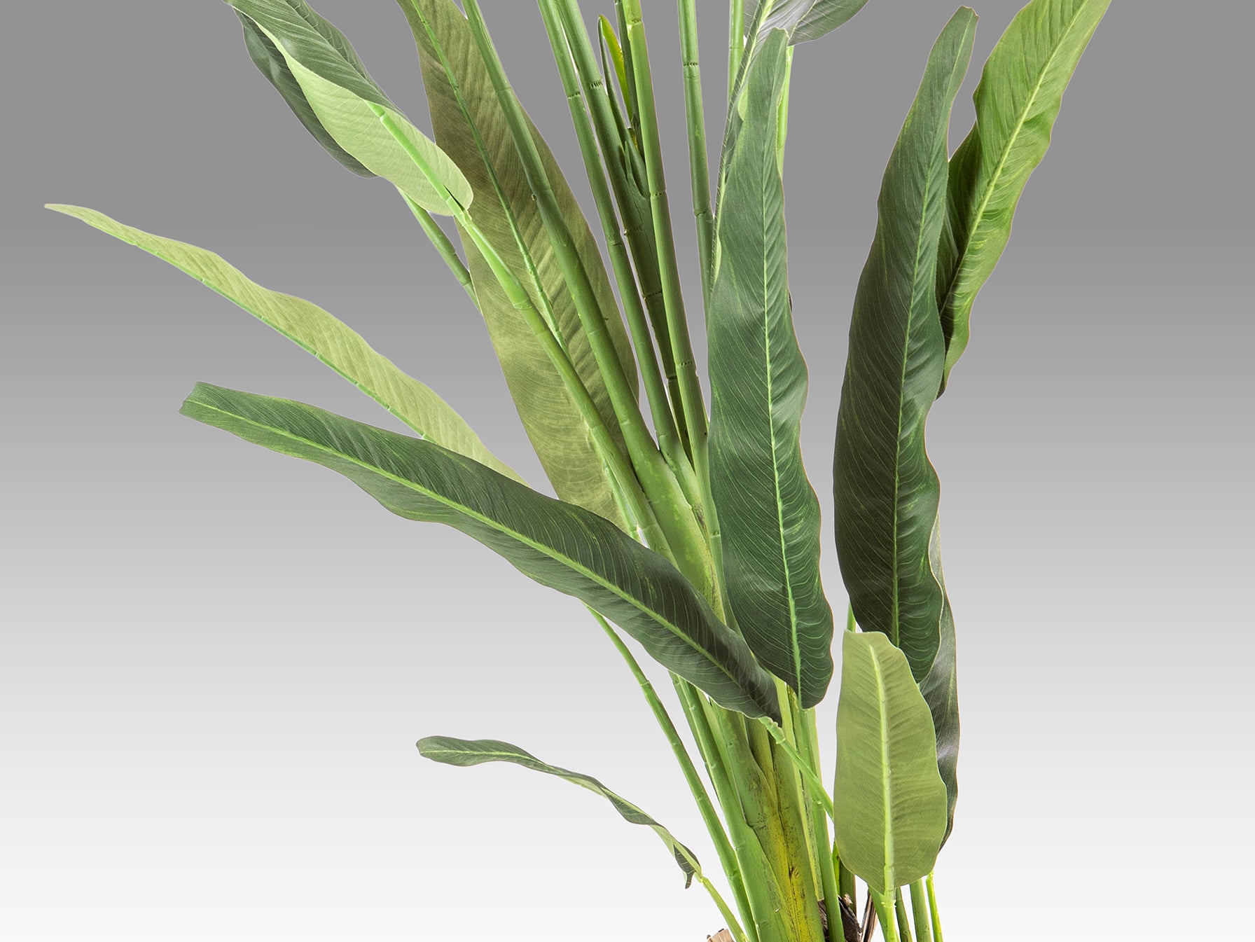 Palma del Viajero Artificial H240 - Schuller - 281751 - Vista 4