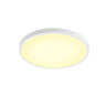 Downlight LED Superficie Ara CristalRecord 02-018-24-300