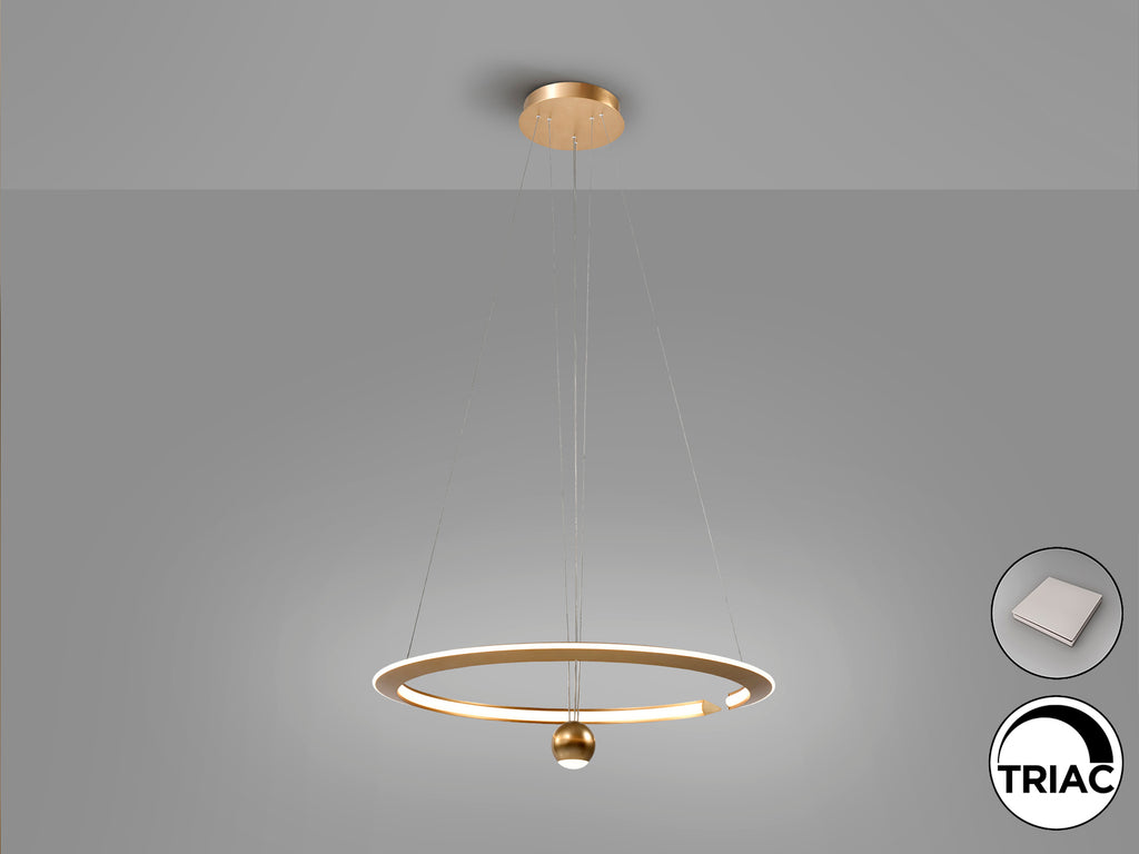 Lámpara Techo Moderna Dorado - Schuller Orane - Calidad Premium | luzguru.com