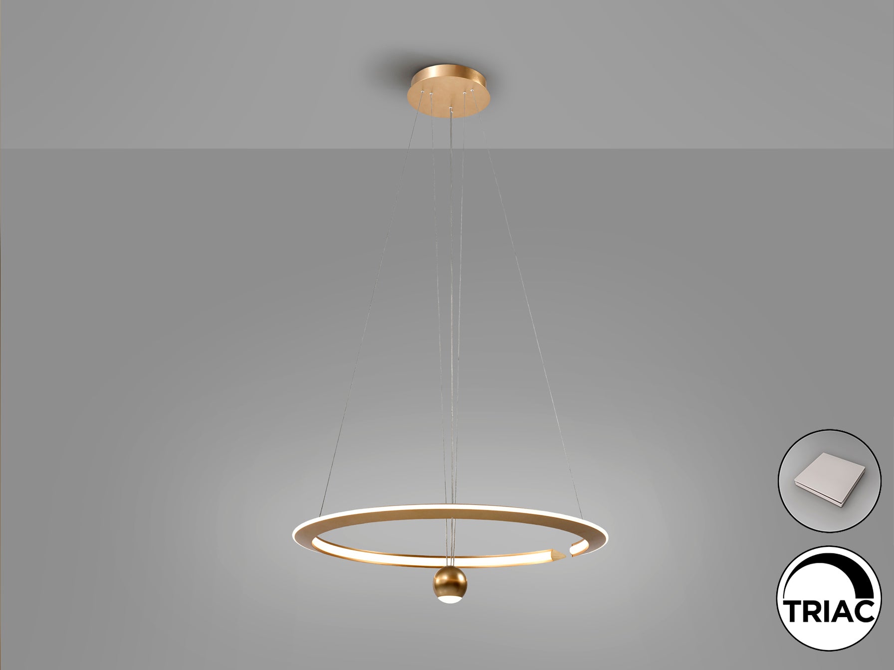 Lámpara Techo Moderna Dorado - Schuller Orane - Calidad Premium | luzguru.com