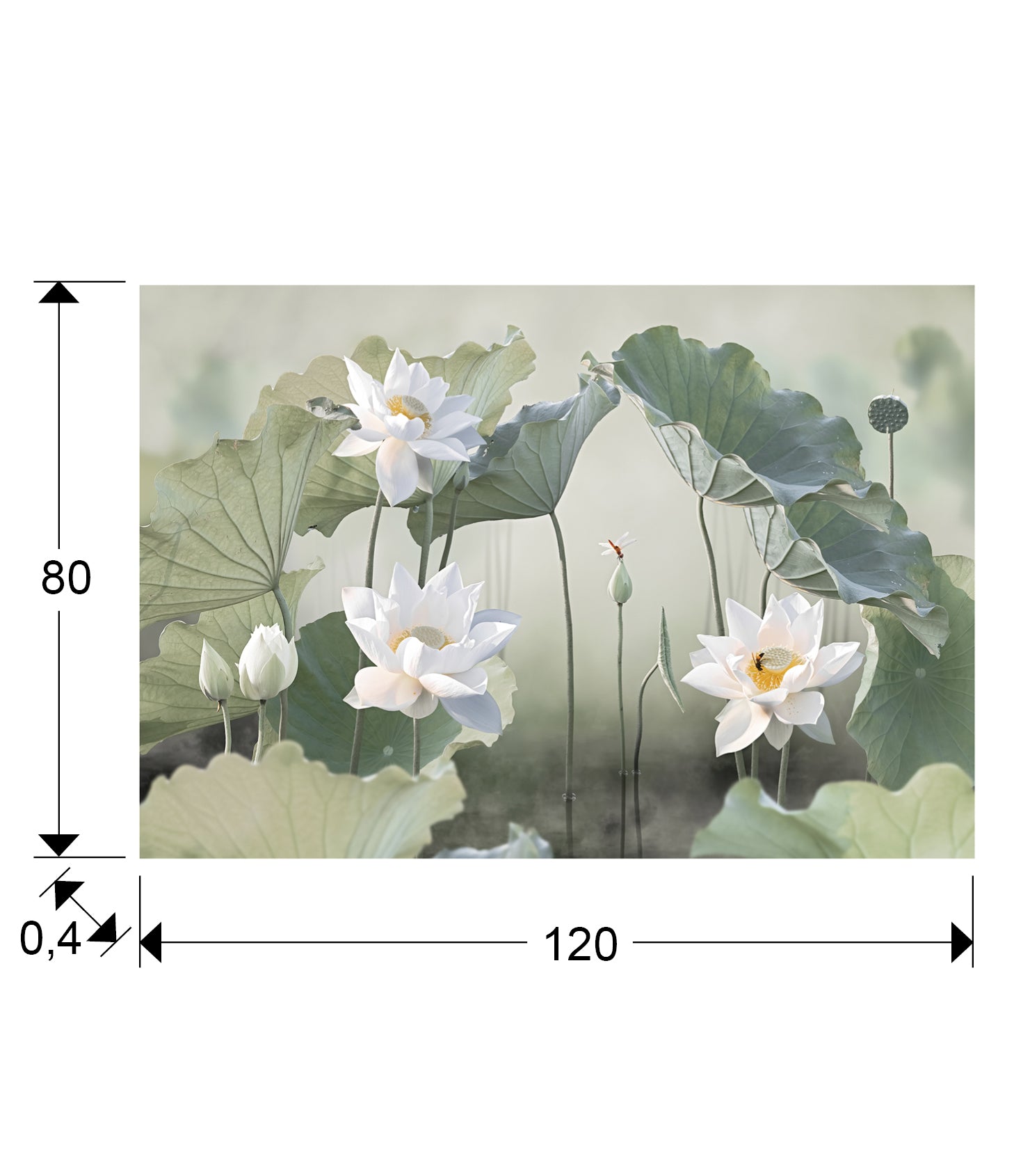 Medidas Fotografía Nenufares II Schuller 630429: 120x80x0.4 cm.  Cristal templado.
