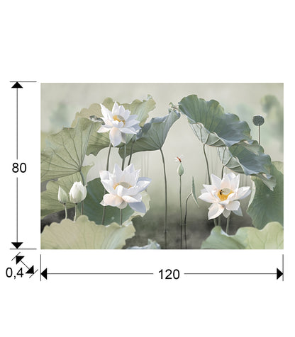Medidas Fotografía Nenufares II Schuller 630429: 120x80x0.4 cm.  Cristal templado.
