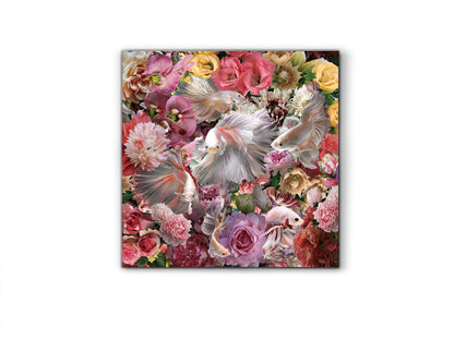 Fotografía Impresa Peces Luchador Siam 120x120cm - Schuller | luzguru.com