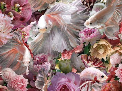 Fotografía Impresa Peces Luchador Siam 120x120cm - Schuller | luzguru.com