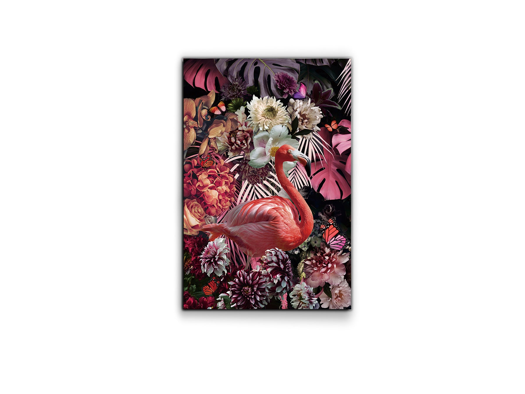 Fotografía Impresa 80x120cm - Schuller Flamenco - Calidad Premium | luzguru.com