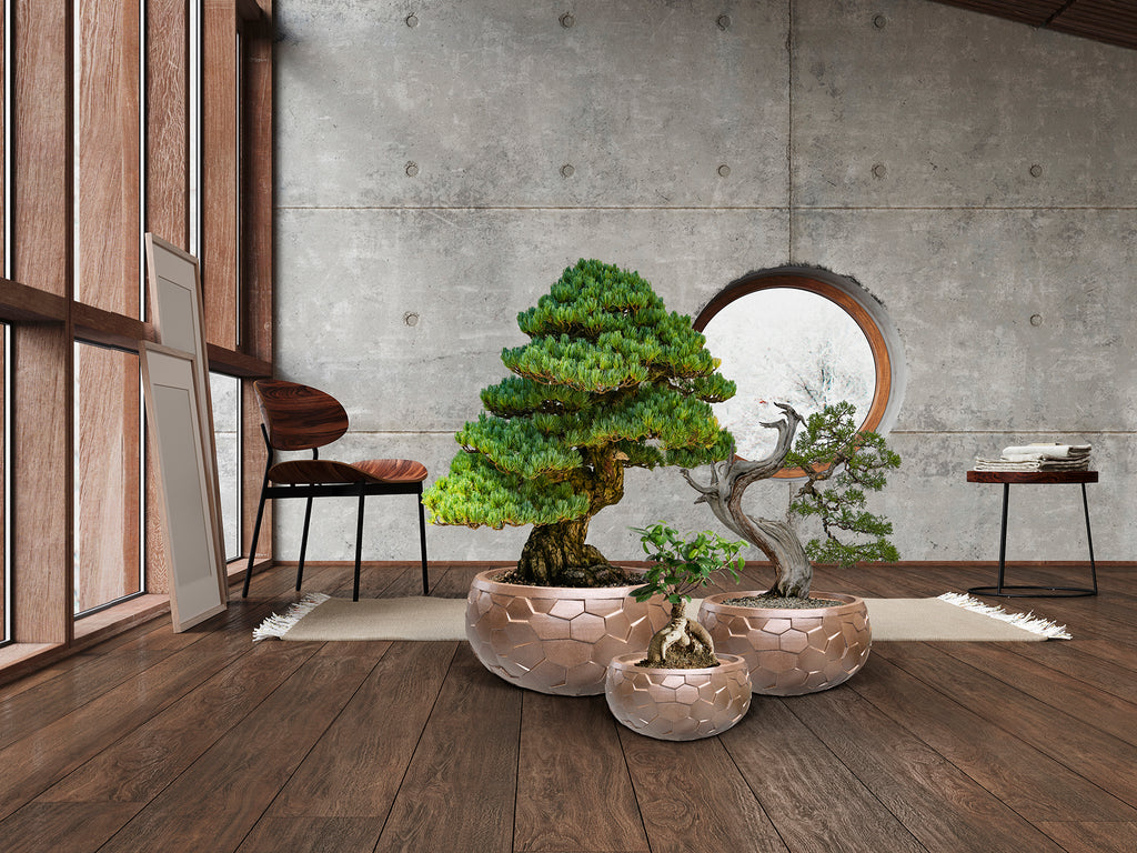 Set 3 Maceteros Bronce - Schuller Canela - Diseño Moderno | luzguru.com