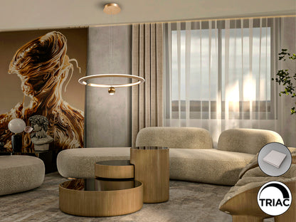 Lámpara Techo Moderna Dorado - Schuller Orane - Calidad Premium | luzguru.com