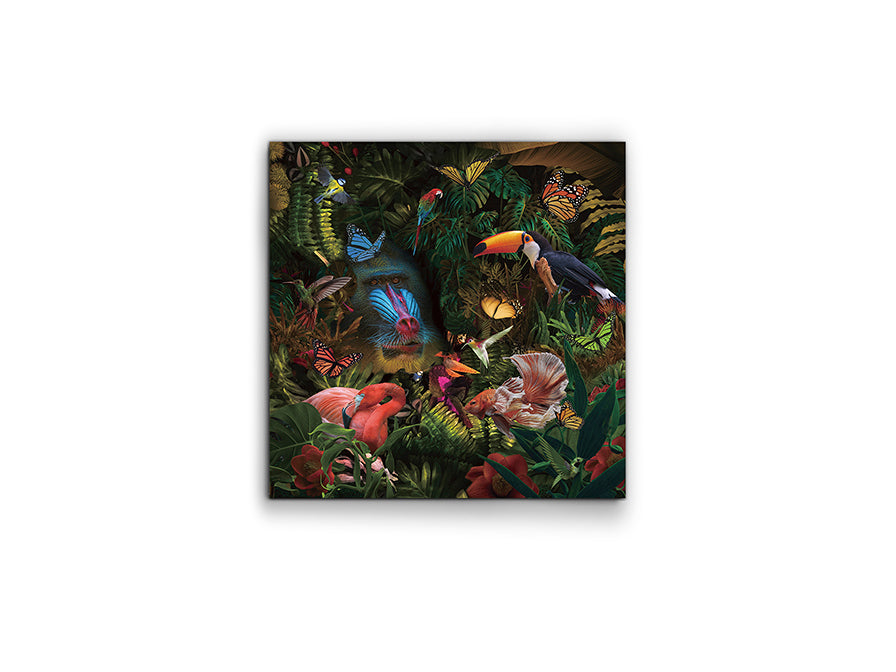 Fotografía Impresa 100x100cm - Schuller Selvatica | luzguru.com