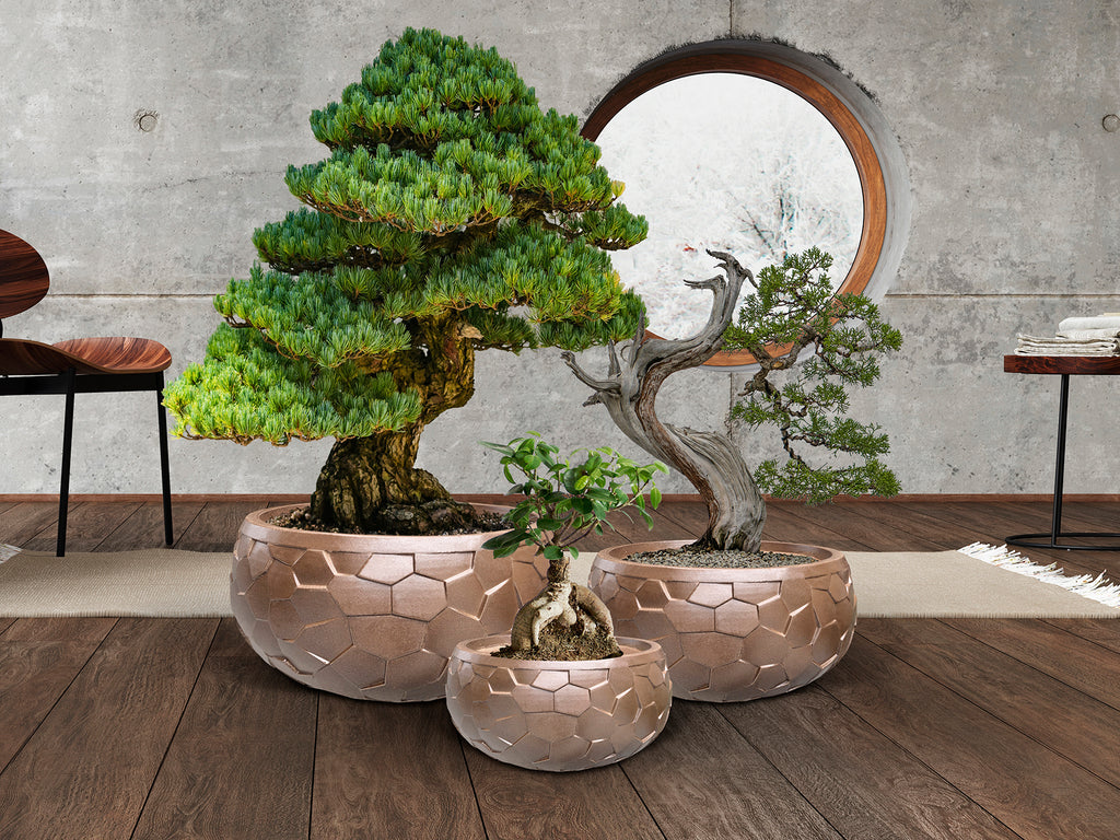 Set 3 Maceteros Bronce - Schuller Canela - Diseño Moderno | luzguru.com