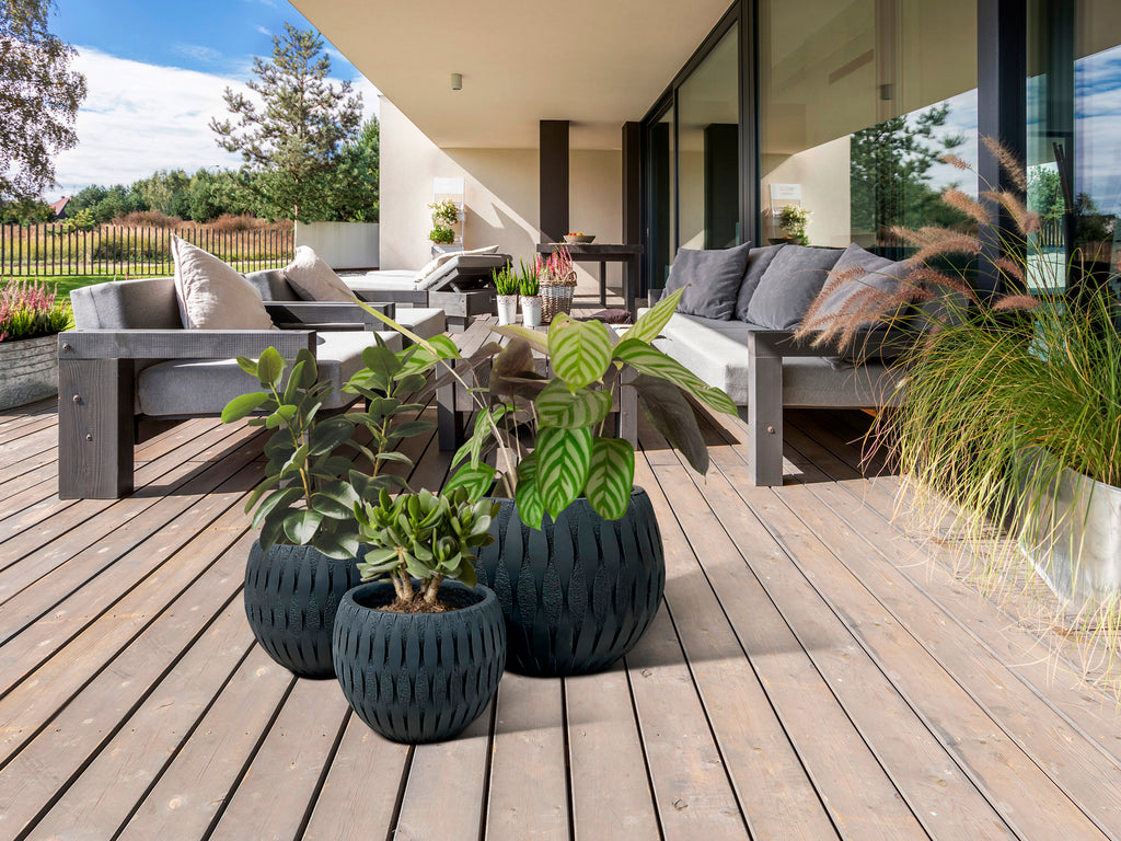 Set 3 Maceteros Yuca Negro - Schuller - Diseño Moderno | luzguru.com