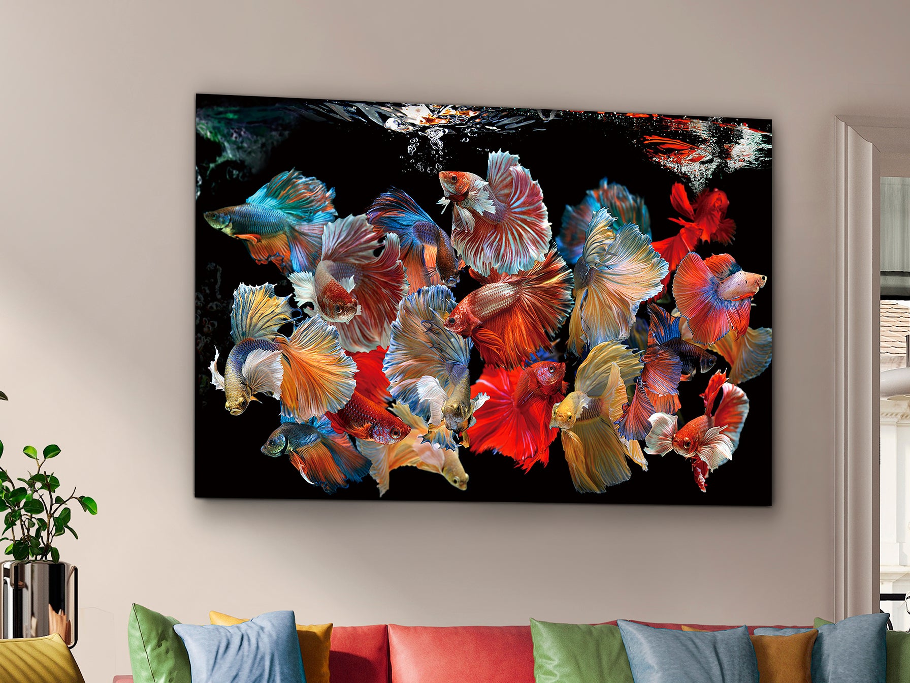 Fotografía Impresa en Cristal 150x100cm - Schuller Peces Siam | luzguru.com