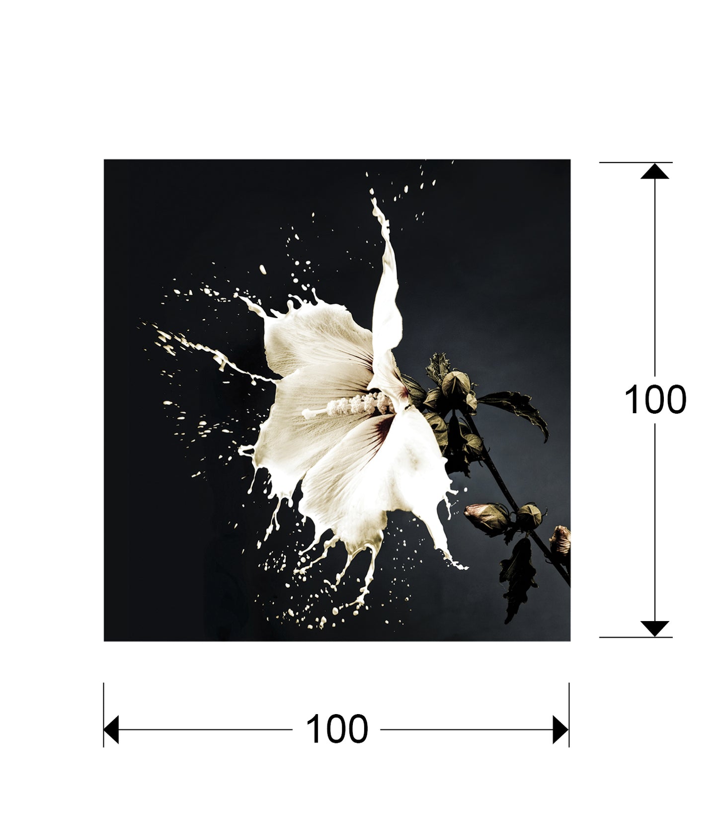 Medidas Schuller FOTO ·SPLASH· 100x100 (Ref. 719360): 100x100x0.4 cm, 10 kg.
